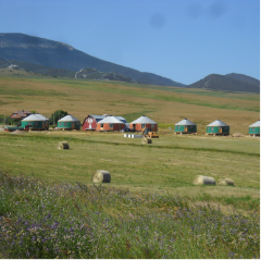 a group of shelter designs yurts on the plains