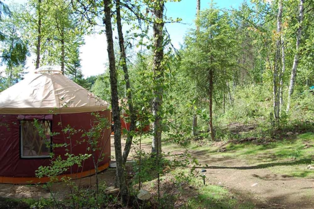 red yurt in a forest