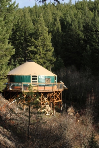 green shelter designs yurt in the forest