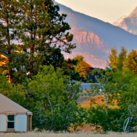 yurt in spring