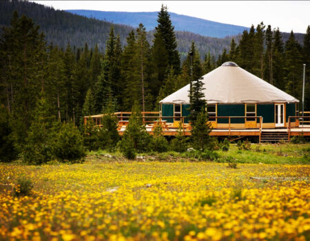 yurt in spring