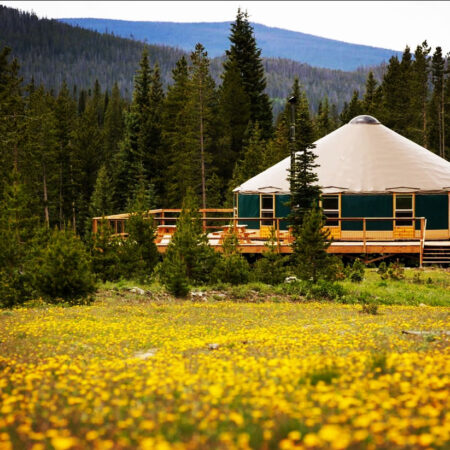 yurt in spring